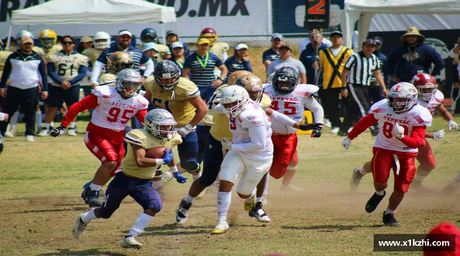 芒果体育app团结奋进，共赢未来！